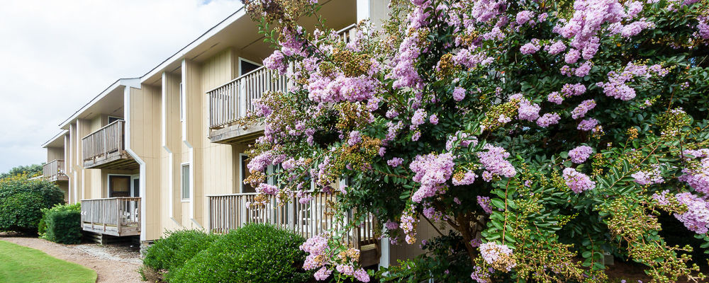 Sea Scape Beach And Golf Villas Китти-Хок Экстерьер фото